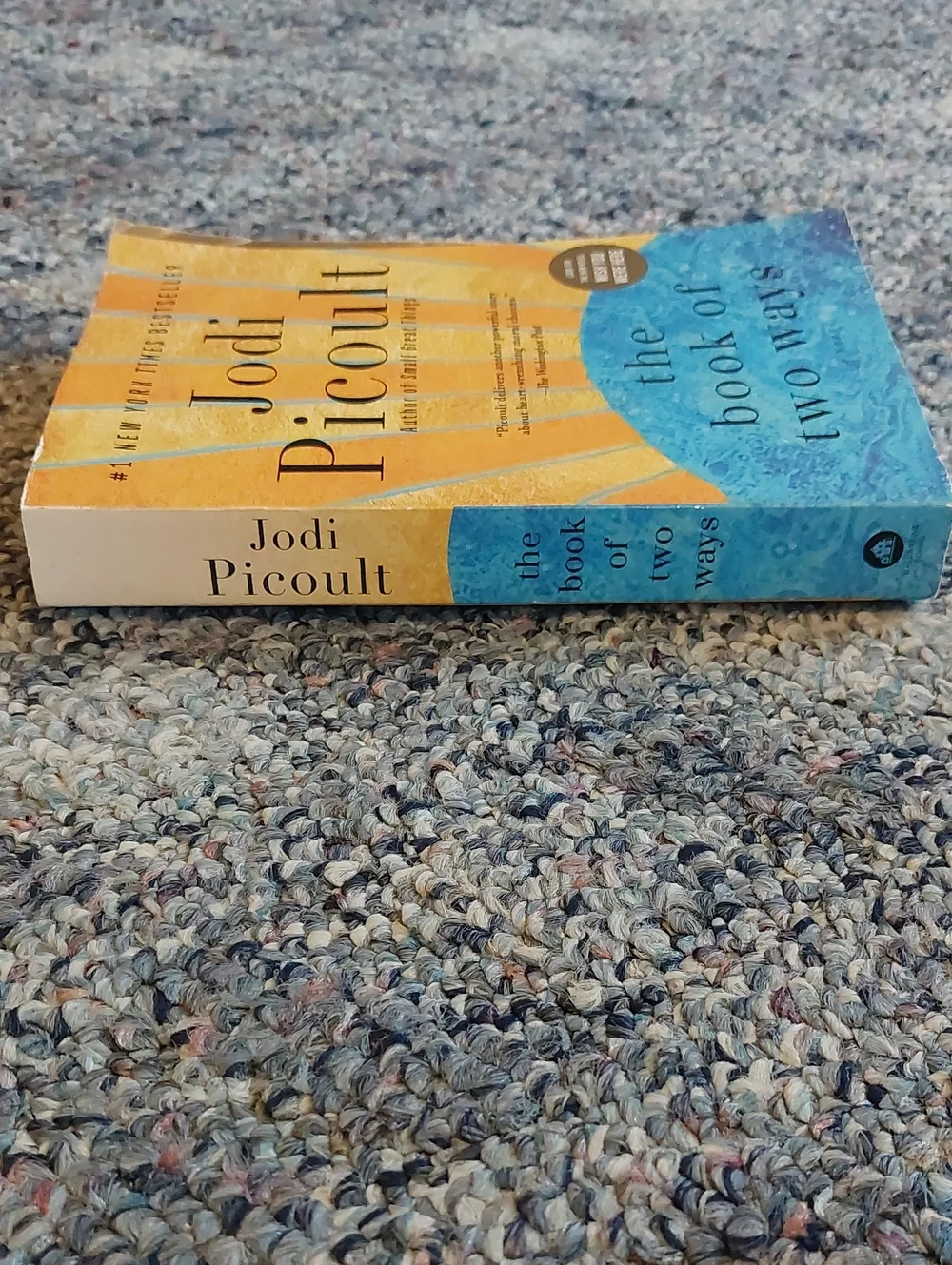 😮 3/$10! The Book of Two Ways - By Jodi Picoult